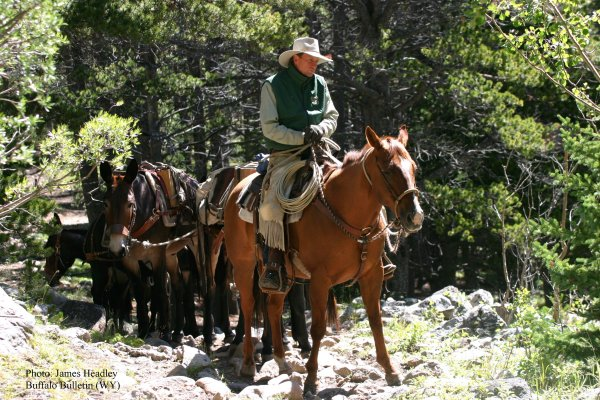 photo-packer on lead horse