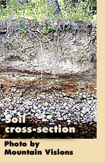 Soil cross-section