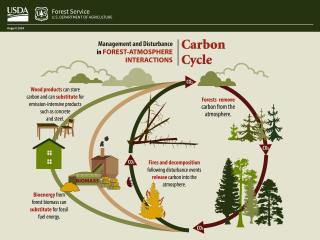 An infographic showing the closed loop of Forest Service in the Atmosphere.