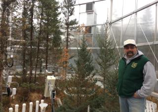 A man standing inside a SPRUCE testing chamber with a number of trees being tested, as well as testing equipment.