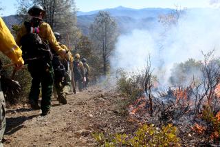 Image shows a group of wildland firefighters in safety gear and helmets hiking along a prescribed burn edge.