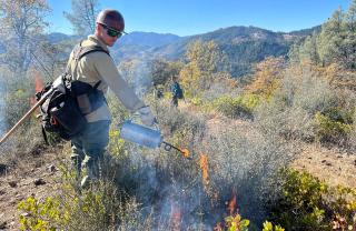 Image shows a wildland firefighter in safety gear and a helmet dripping fire onto vegetation to continue a prescribed fire.