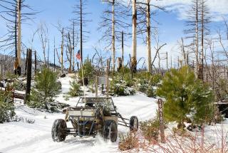 Image shows a side-by-side off-road vehicle driving through the snow amongst trees.