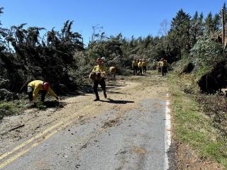 A group of people remove downed trees from a paved road.