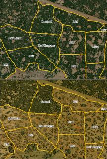 Image shows two aerial photographs of a section of the Coconino National Forest divided into polygons. The second image shows the polygons that have been treated using digital marking.