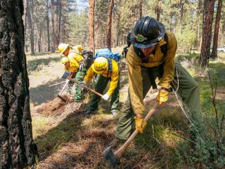Firefighters digging line.jpg Firefighters digging line