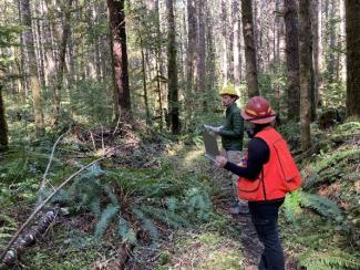 Silviculturists in the forest.jpg Silviculturists in the forest