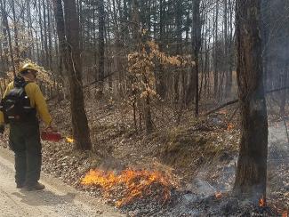 Prescribed Fire at Peggy Hallow.jpg Prescribed Fire at Peggy Hallow