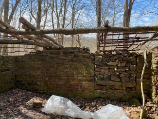 vandalism at old homesite in wilderness.jpg vandalism at old homesite in wilderness