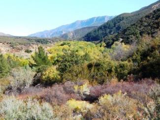 Fall Color in Los Padres National Forest - Ojai Ranger District.jpg Fall Color in Los Padres National Forest - Ojai Ranger District