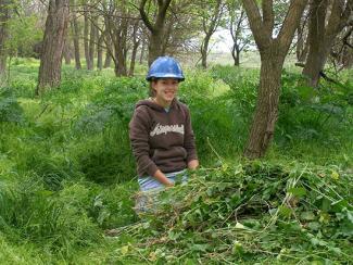 NNIS - Garlic Mustard removal.jpg NNIS: Garlic Mustard removal