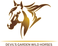 Devils Garden Horses for home page.png Devil's Garden Horses for home page