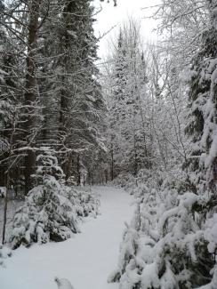 VC Interpretive Trail - Winter.jpg VC Interpretive Trail - Winter