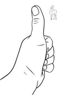 A white outlind of a hand with the thumb up and a smaller pronghorn to the right.