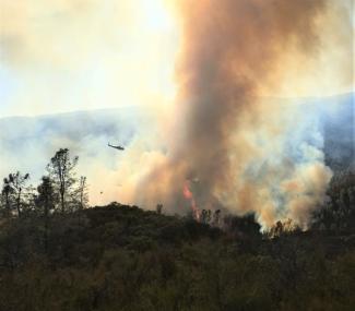 H506 flying a fire.jpg H506 flying a fire