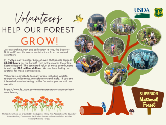 Volunteer: Volunteer graphic