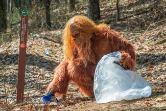 Outdoor Safety and Ethics - Bigfoot Leave No Trace.jpg Outdoor Safety and Ethics - Bigfoot Leave No Trace