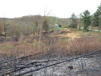 Prescribed burn in a woodland opening - fire page 7.jpg Prescribed burn in a woodland opening - fire page 7