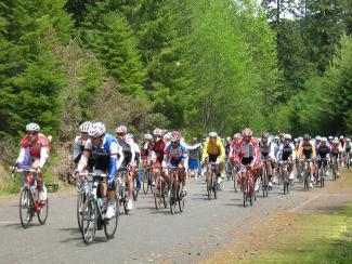 Bike Race Special Uses Header.jpg Bike Race Special Uses Header