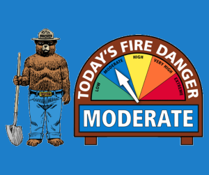 Smokey Bear with the moderate fire danger level