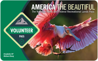 Volunteer Pass