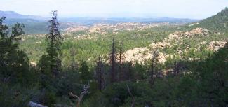 Panoramic view of mountains and trees.