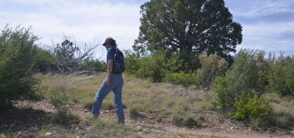 Man walking on a trail past a juniper tree.