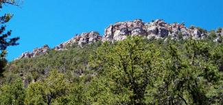Rocky outcropping with pine trees in foreground.
