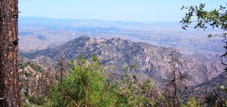 Panoramic view of mountains with trees in foreground.