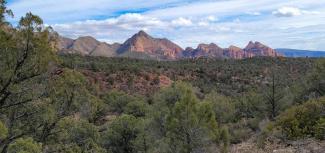 Red rock bluffs with pine trees in the foreground.