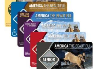 Display of the various America the Beautiful passes available for purchase.