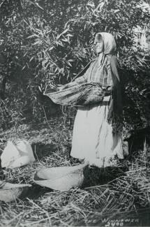 black and white photo of a paiute woman holding basket, willows, grasses