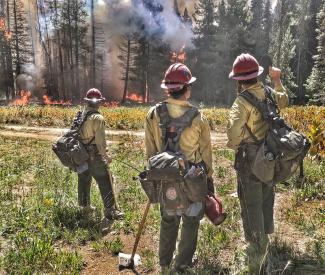 Three firefighters with packs next to an active fire