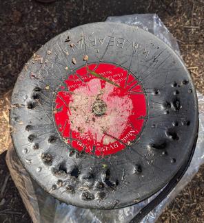 A bear canister with bite marks in it