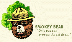 Classic drawing of Smoky Bear