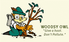 Classic drawing of Woodsey Owl