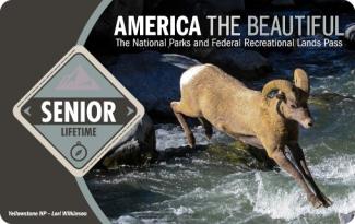 elk crossing a stream on lifetime pass