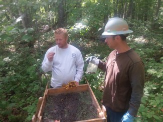 Two archologists with a screen.