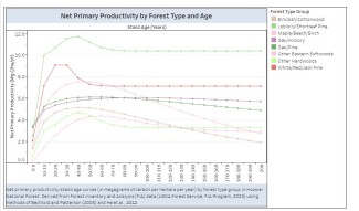 Net primary productivity-stand age curves by forest type group in Hoosier National Forest. Derived from FIA data on undisturbed and untreated plots; rare forest type groups may not be represented.