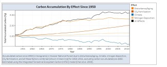 . Excluding carbon accumulated pre-1950, accumulated carbon (Tg) in Hoosier National Forest due to disturbance/aging, climate, nitrogen deposition, CO2 fertilization, and all factors combined (shown in black line) for1950â2011. Estimated using the InTEC model.