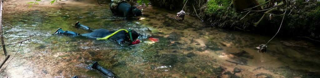 Hellbender Survey