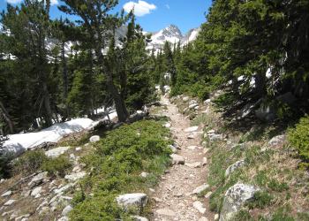 mt audubon