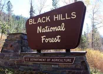 BKNF Forest Sign