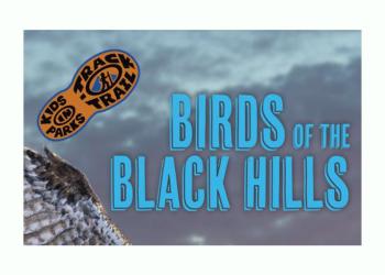 Birds of the Black Hills