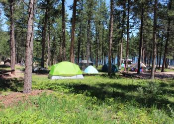 Camping Hero Image
