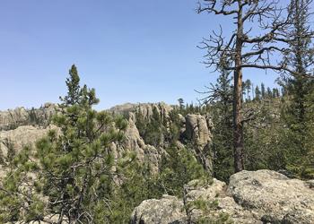 Card 3 - Black Elk Wilderness