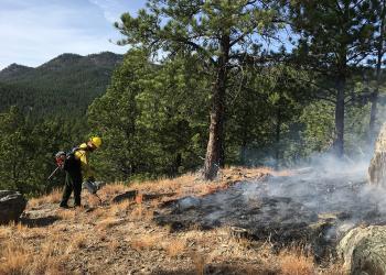 Firefighter on a prescribed burn