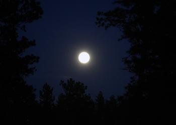 Flag Image - Moon Walk