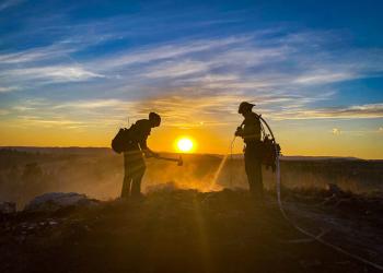 IMG_3890_by_Forrest Lewis_web