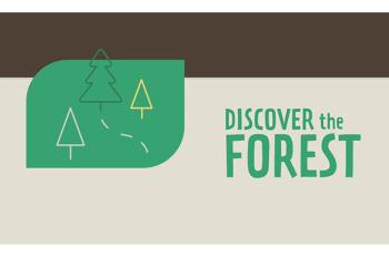 card - Discovery the Forest